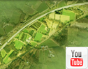 animatie